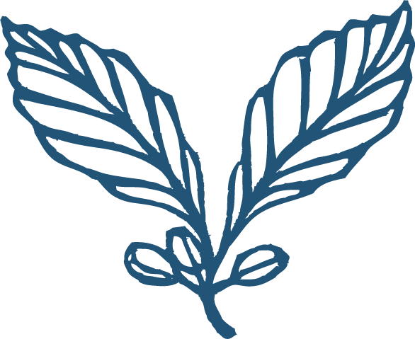 wonderstate-dev home