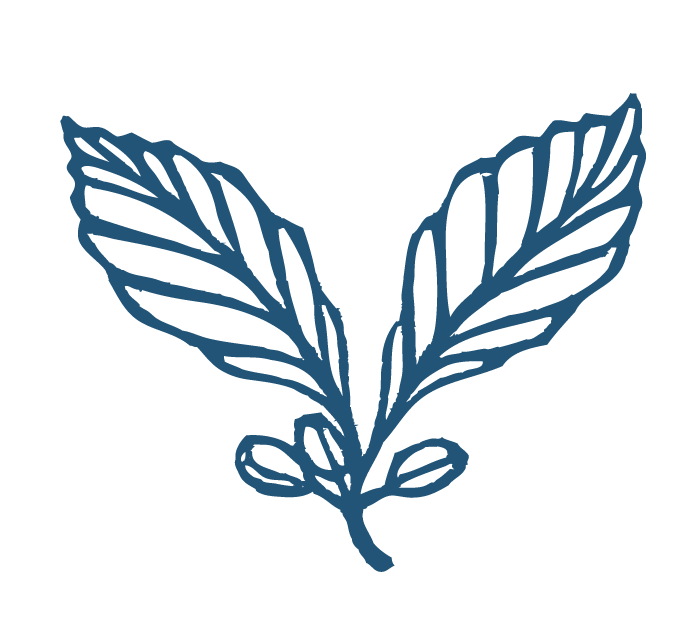 wonderstate-dev home